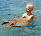 A smiling young guest beside a stingray at the water’s surface.