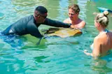 A guide introduces a stingray to guests gathered in the lagoon.