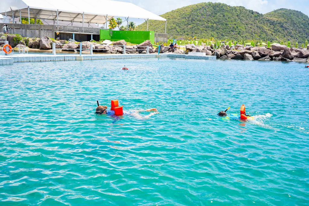 Visitors float in turquoise lagoon water with Carambola’s shoreline and hills beyond.